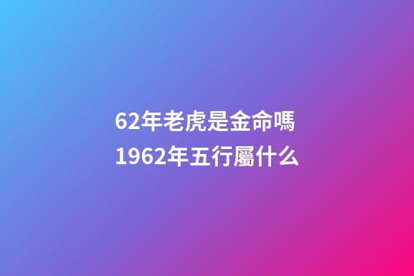 62年老虎是金命嗎 1962年五行屬什么-第1張-觀點-玄機派